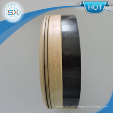 PTFE Spgw Piston Compact Seal